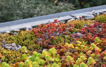 the cost of Achiemore green roof installation