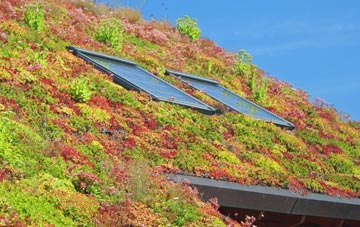 Achiemore living roof systems